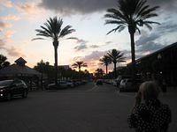 IMG 3980