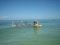IMG 3987