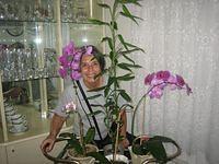 IMG 5153