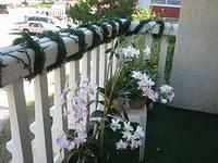 IMG 5182