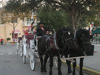 IMG 5190