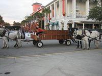 IMG 5191