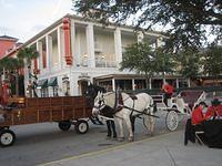 IMG 5192