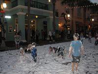 IMG 5196
