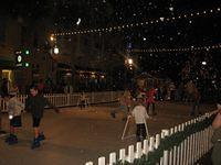 IMG 5203