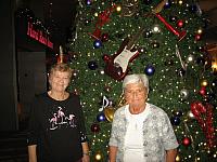 IMG 6256