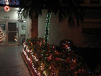IMG 6279