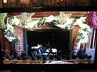 IMG 6291