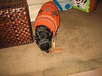 IMG 6299