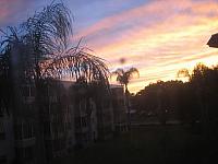 IMG 6171