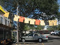 IMG 6187