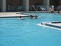 IMG 5466