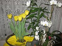 IMG 5477
