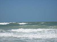 IMG 5484
