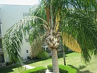 IMG 5502
