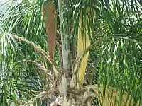 IMG 5503