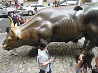IMG 5907