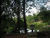 IMG 5951