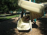 IMG 5966