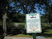 IMG 5978