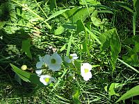 IMG 5986