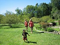 IMG 5987
