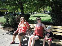 IMG 5990