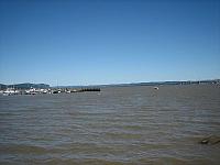 IMG 5995
