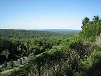 IMG 6008
