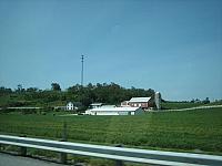 IMG 6012