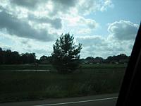 IMG 6087