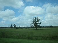 IMG 6111
