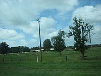 IMG 6112