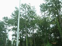 IMG 6122