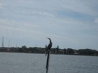 IMG 5259
