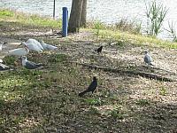 IMG 5261