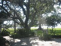IMG 6662