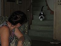 IMG 6663