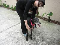 IMG 6451