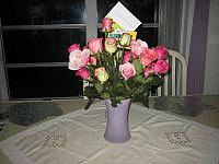 IMG 6565