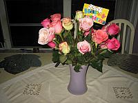 IMG 6567
