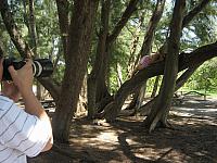 IMG 6608