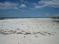 IMG 6616