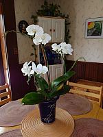 DSC00063