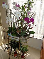 DSC00110