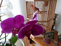 DSC00111
