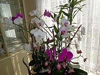 DSC00112