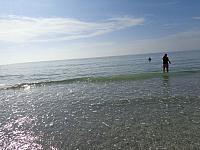 DSC00339