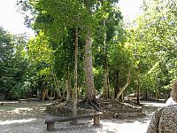 DSC00408