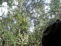 DSC00447